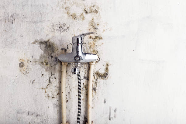 Norton, VA Mold Remediation Company