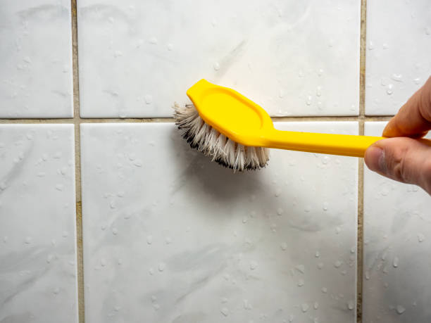 Best Residential Mold Remediation in Norton, VA
