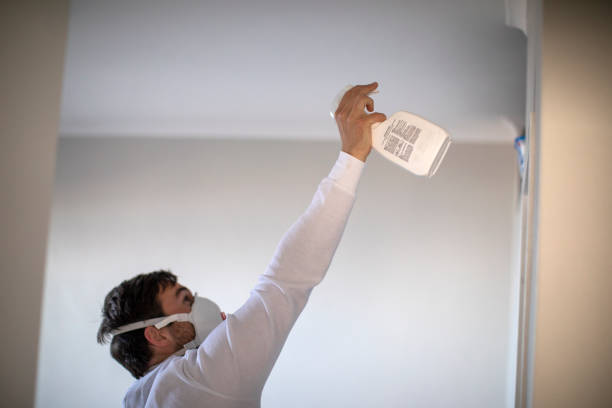 Best Attic Mold Remediation in Norton, VA