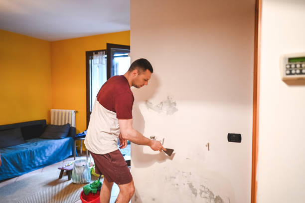  Norton, VA Mold Removal Pros